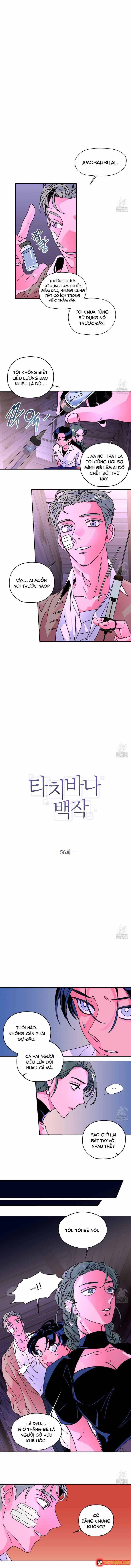 Bá Tước Tachibana Chapter 56 - 2