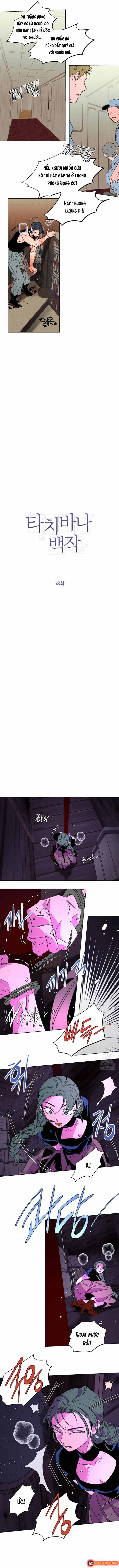 Bá Tước Tachibana Chapter 58 - 6