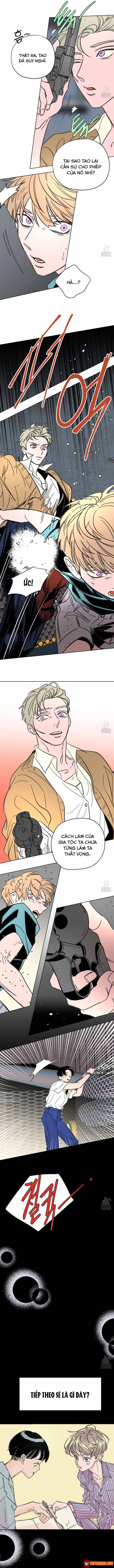 Bá Tước Tachibana Chapter 60 - 6