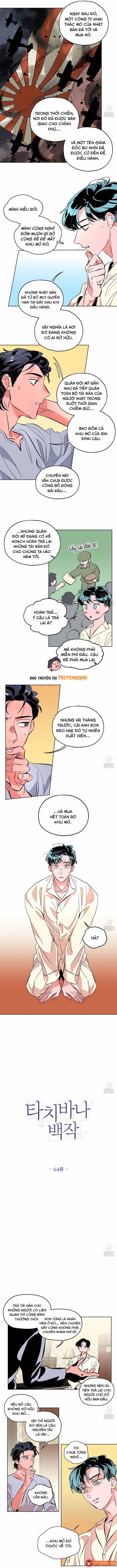 Bá Tước Tachibana Chapter 64 - 3