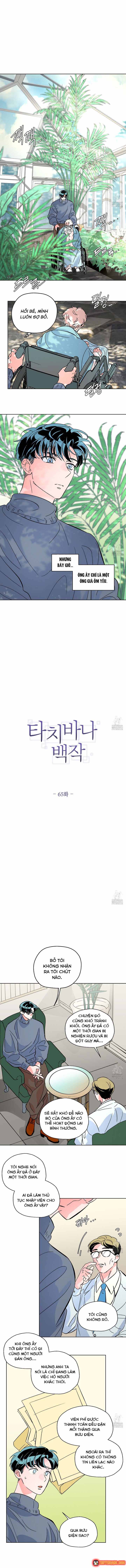 Bá Tước Tachibana Chapter 65 - 2