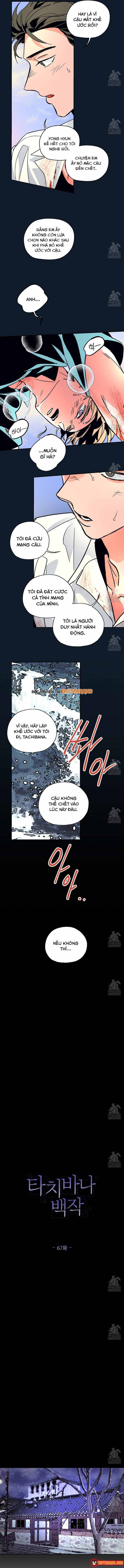 Bá Tước Tachibana Chapter 67 - 3