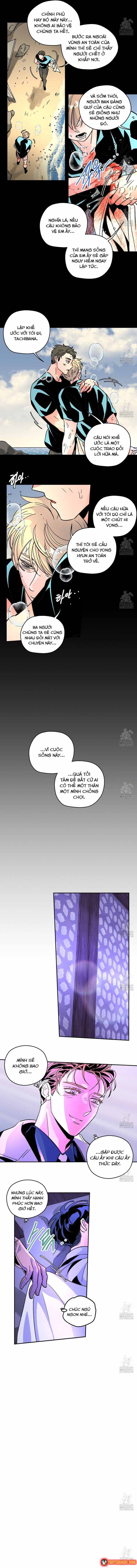 Bá Tước Tachibana Chapter 67 - 7
