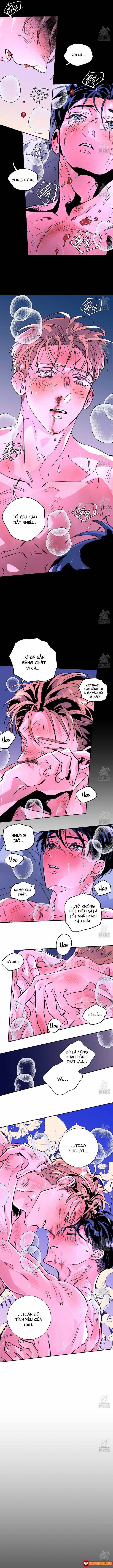 Bá Tước Tachibana Chapter 68 - 6