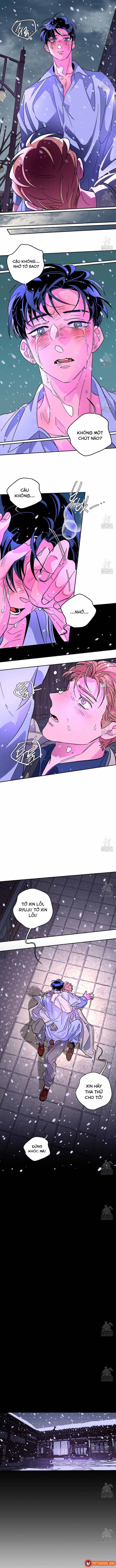 Bá Tước Tachibana Chapter 67 - 11