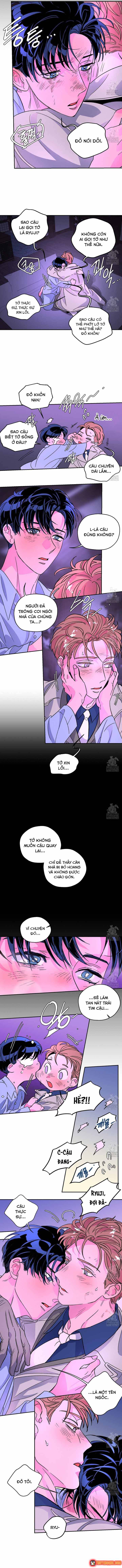 Bá Tước Tachibana Chapter 67 - 12