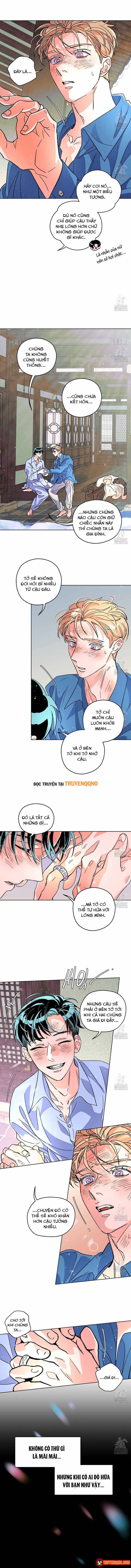 Bá Tước Tachibana Chapter 69 - 3