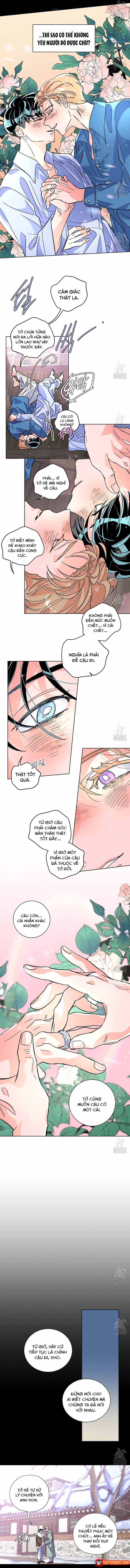Bá Tước Tachibana Chapter 69 - 4