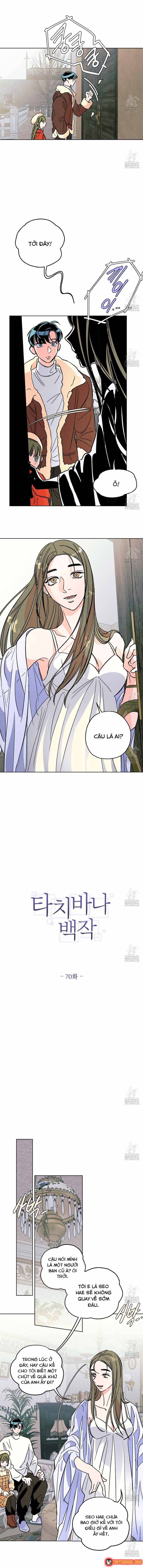 Bá Tước Tachibana Chapter 70 - 2