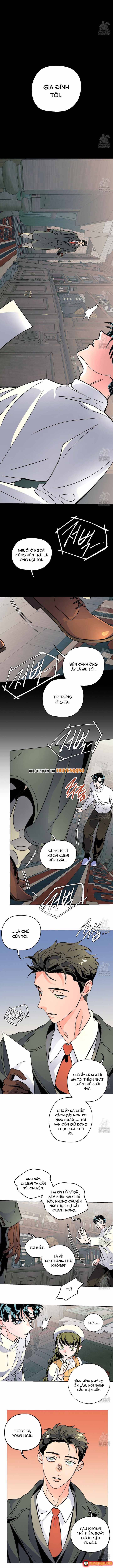 Bá Tước Tachibana Chapter 70 - 10