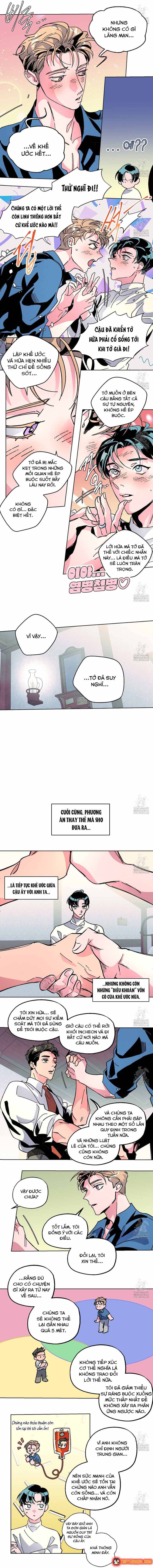 Bá Tước Tachibana Chapter 70 - 19