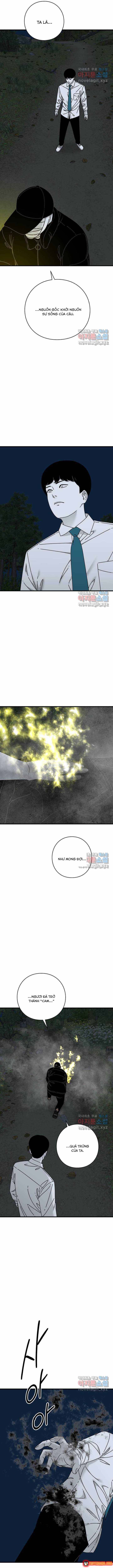 Đôi Mắt Chapter 51 - 14