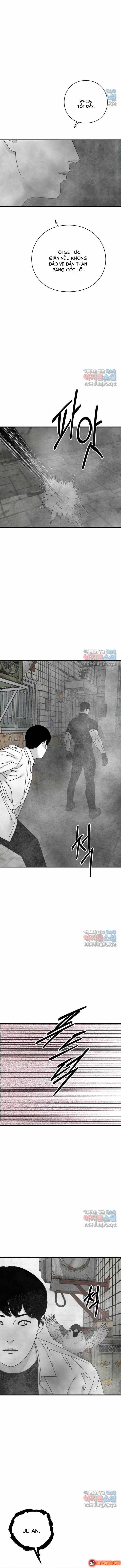 Đôi Mắt Chapter 55 - 16