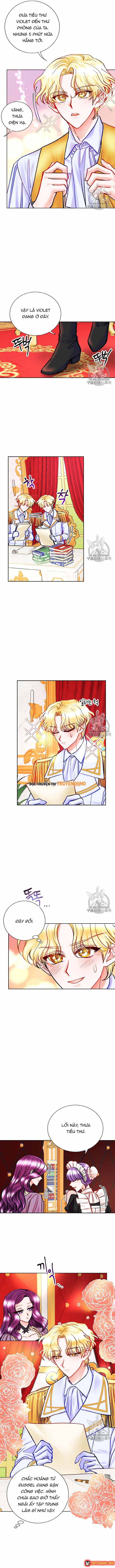 Công Nương Trong Hoàn Cảnh Cực Hạn Chapter 17 - 8