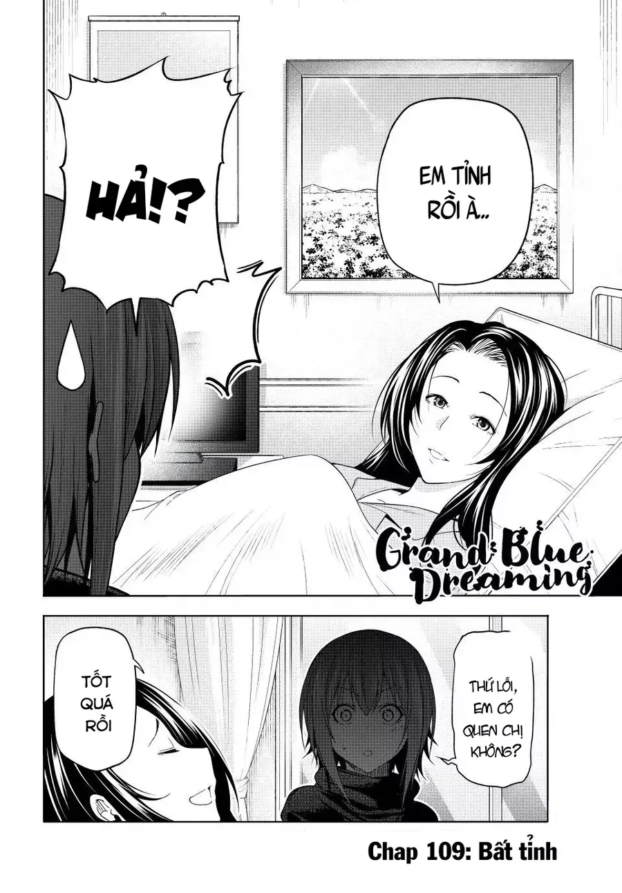 Grand Blue - Cô Gái Thích Lặn Chapter 109 - 5