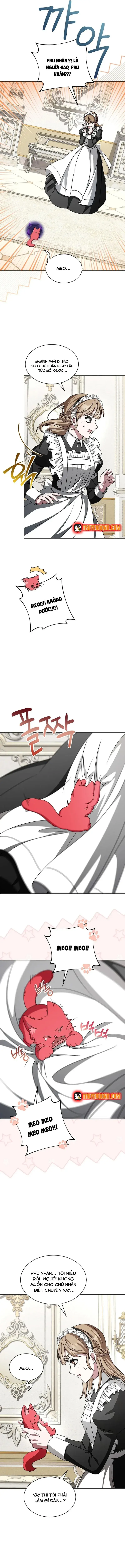 Hôn Phu Luôn Muốn Nuôi Nấng Tôi Chapter 34 - 13