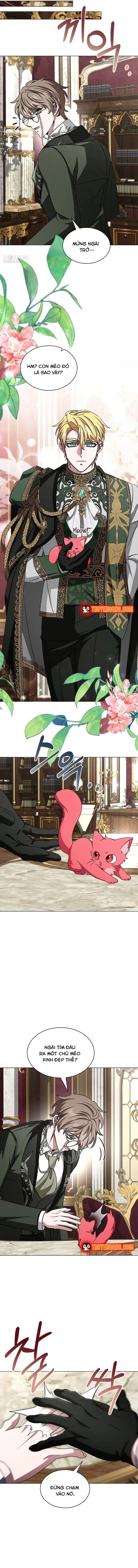 Hôn Phu Luôn Muốn Nuôi Nấng Tôi Chapter 35 - 11