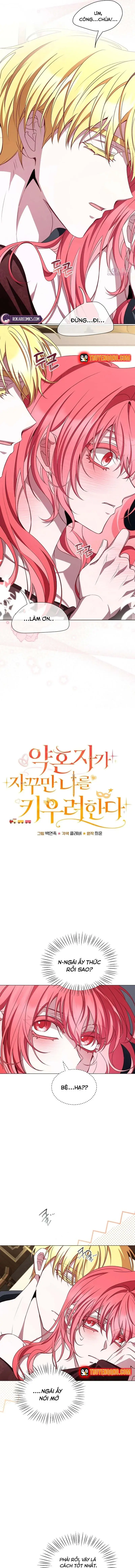 Hôn Phu Luôn Muốn Nuôi Nấng Tôi Chapter 37 - 15