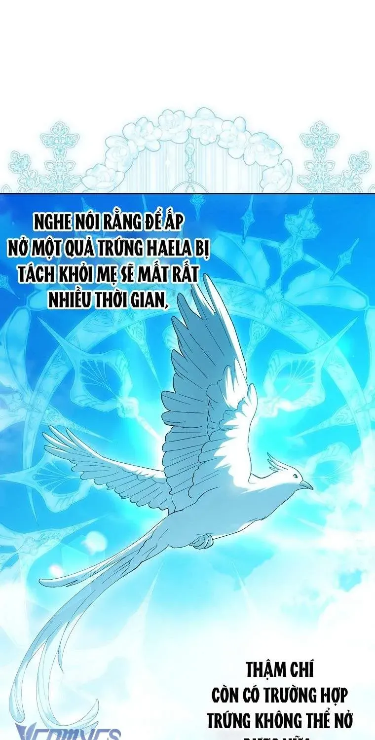 Công Chúa Bạch Hổ Không Có Nguy Hiểm Nha! Chapter 27.1 - 84