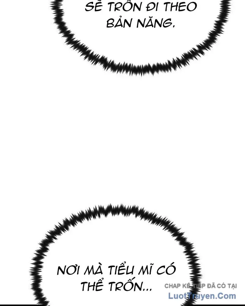 Tiểu Nữ Che Giấu Thiên Phú Võ Công Chapter 19 - 52