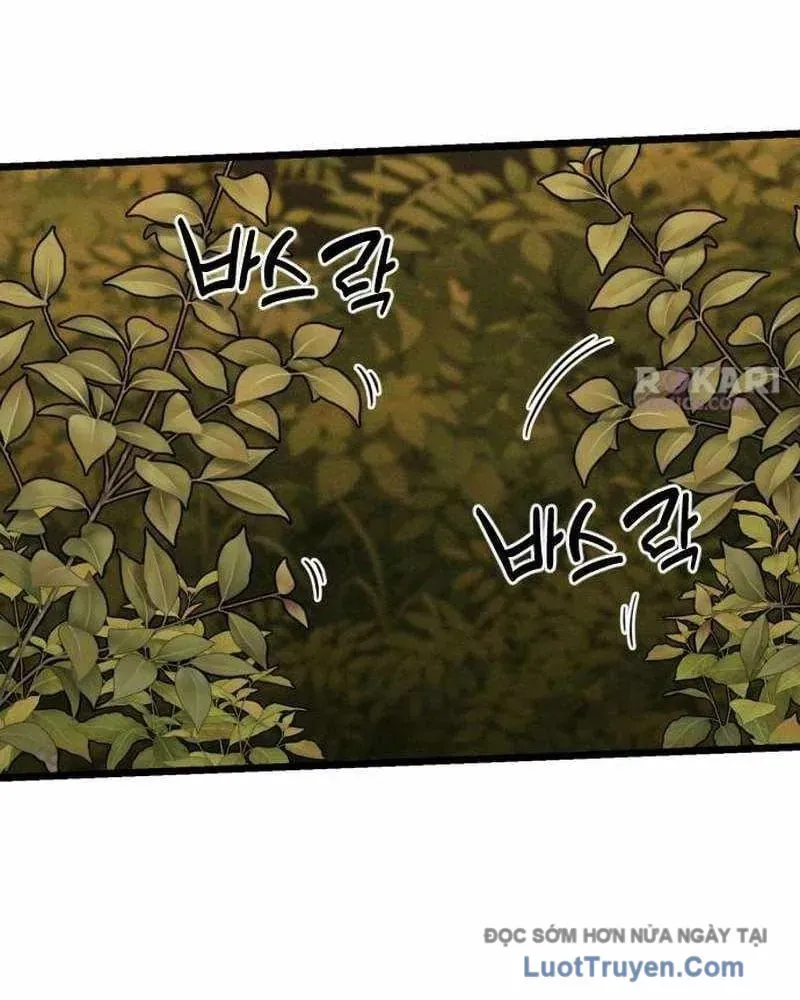 Tiểu Nữ Che Giấu Thiên Phú Võ Công Chapter 26 - 154