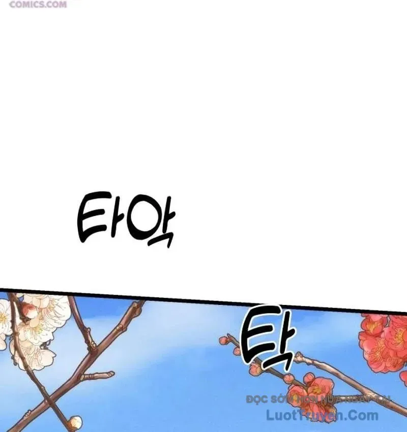 Tiểu Nữ Che Giấu Thiên Phú Võ Công Chapter 28 - 125