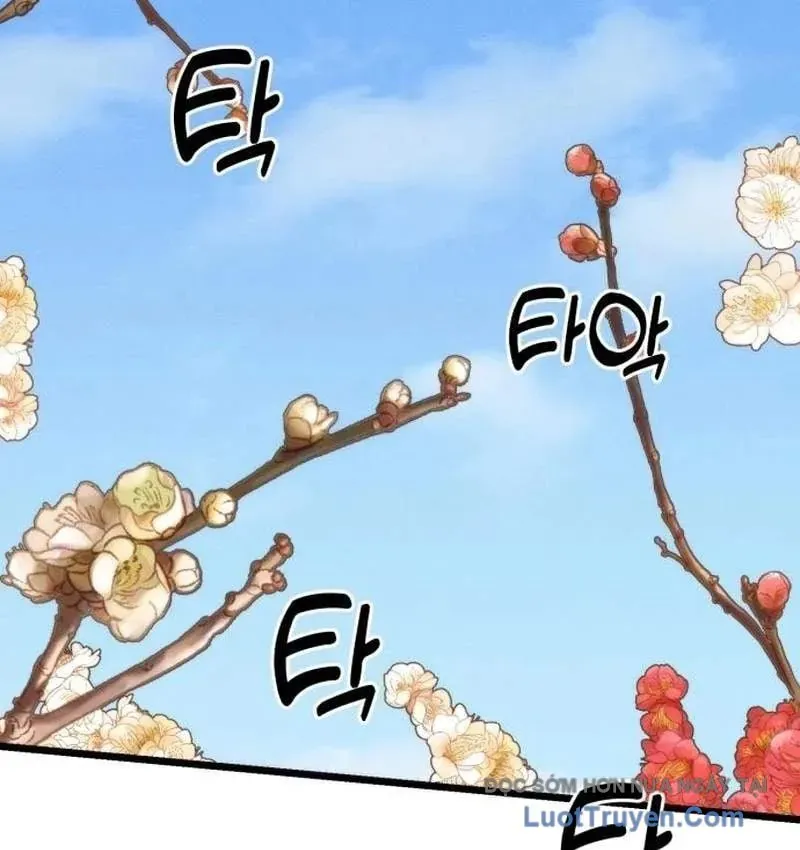 Tiểu Nữ Che Giấu Thiên Phú Võ Công Chapter 28 - 126