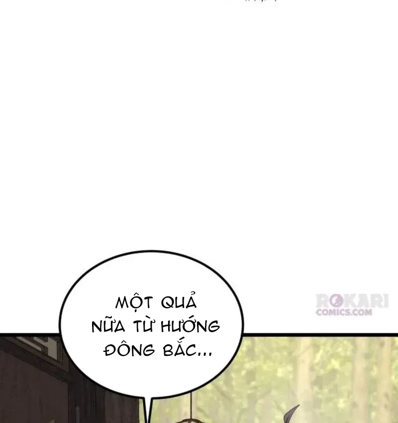 Tiểu Nữ Che Giấu Thiên Phú Võ Công Chapter 29 - 152