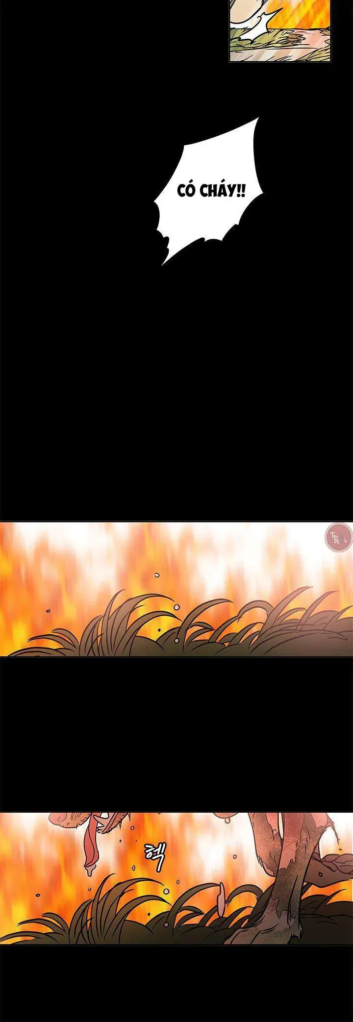 Cô Nàng Pháp Sư Chapter 54 - 13