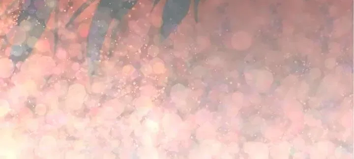 Truy Tìm Ác Nữ Tình Một Đêm Chapter 25 - 80