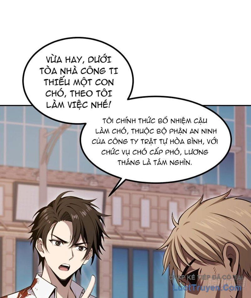 Cuộc Đời Mạt Thế Hoàn Mỹ Của Tôi Chapter 20 - 53
