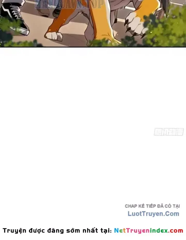 Cuộc Đời Mạt Thế Hoàn Mỹ Của Tôi Chapter 45 - 45