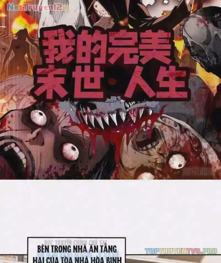 Cuộc Đời Mạt Thế Hoàn Mỹ Của Tôi Chapter 59 - 3
