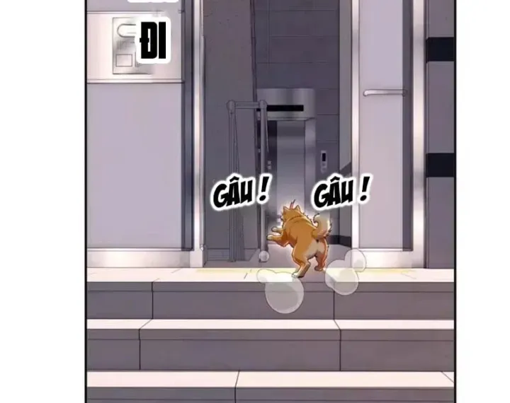Cuộc Đời Mạt Thế Hoàn Mỹ Của Tôi Chapter 62 - 55