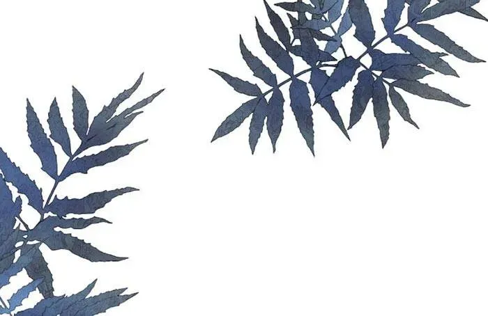 Thà Gả Cho Người Đã Khuất Còn Hơn Làm Vợ Lẽ Chapter 52 - 47