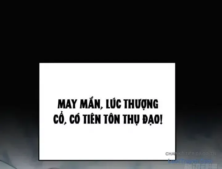 Ta Mô Phỏng Trường Sinh Lộ Chapter 23 - 46