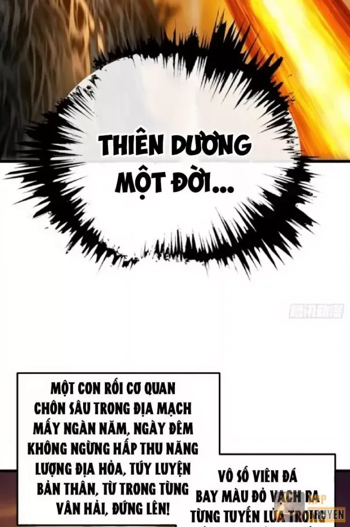 Ta Mô Phỏng Trường Sinh Lộ Chapter 55 - 49