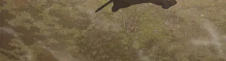 Cương Thiết Liệt Đế Chapter 39 - 165