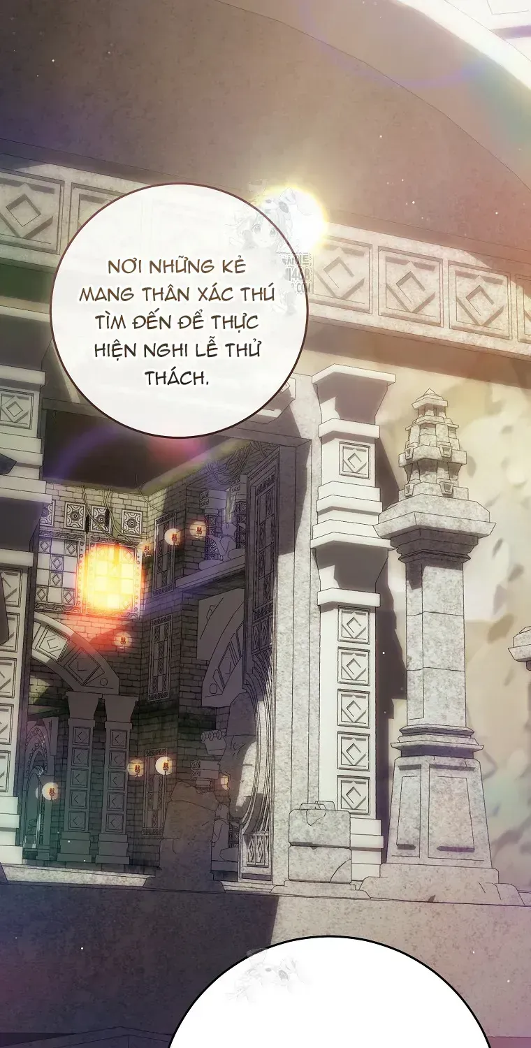Cách Bước Lên Con Đường Hoa Của Nhân Vật Chính Chapter 16 - 58