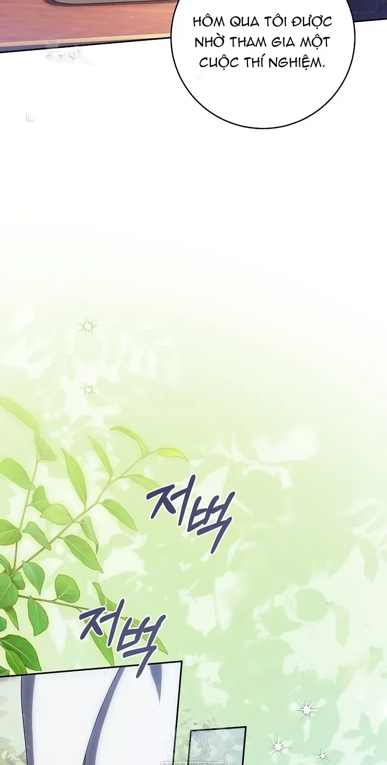 Cách Bước Lên Con Đường Hoa Của Nhân Vật Chính Chapter 26 - 33