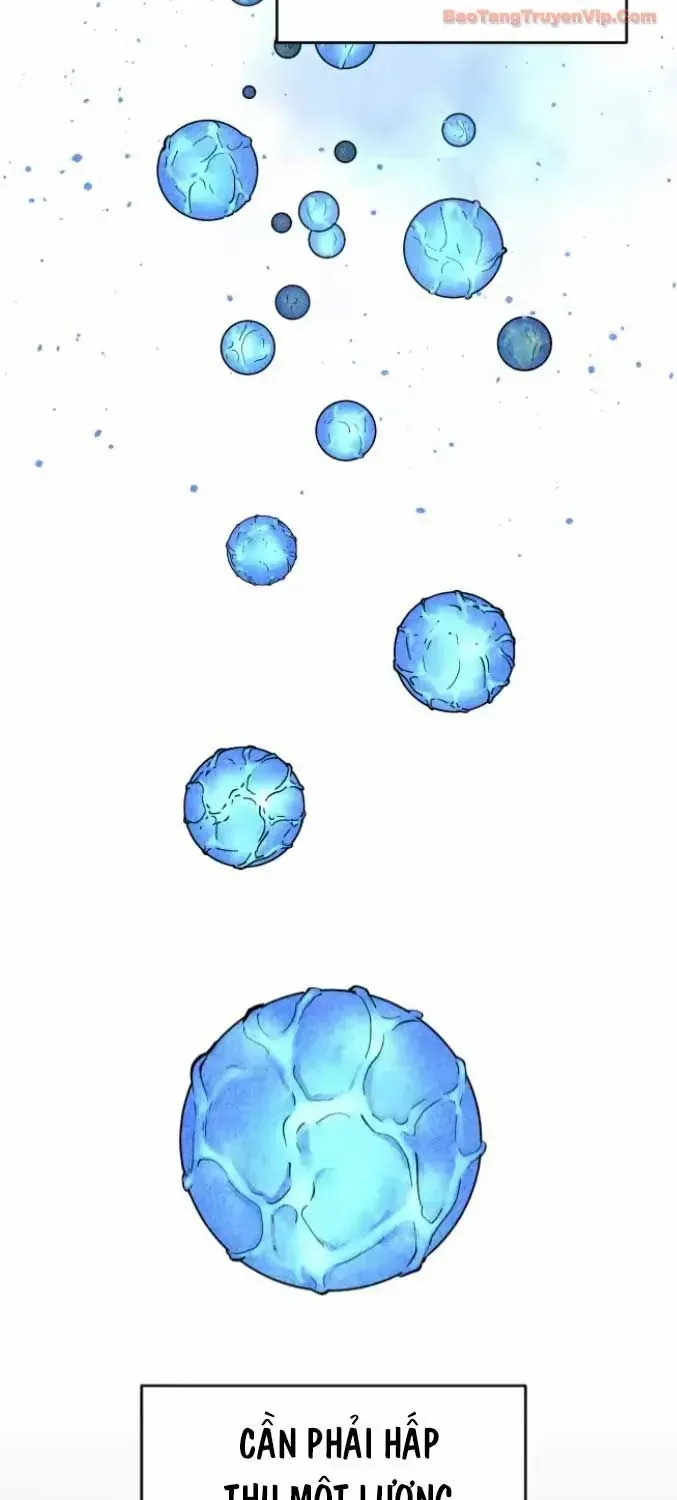 Vùng Đất Sương Mù Chapter 30 - 121