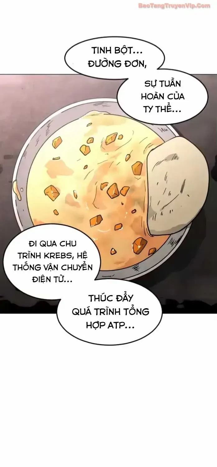 Vùng Đất Sương Mù Chapter 30 - 32