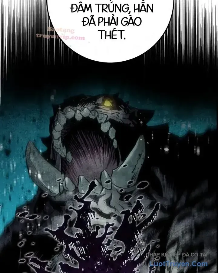 Kỵ Sĩ Lang Thang Chapter 31 - 78