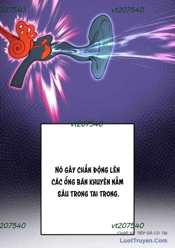 Tuyệt Thế Sát Thủ Hồi Quy Tại Học Viện Chapter 23 - 13