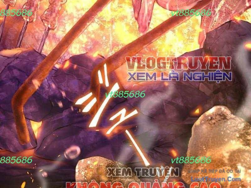 Tuyệt Thế Sát Thủ Hồi Quy Tại Học Viện Chapter 31 - 5