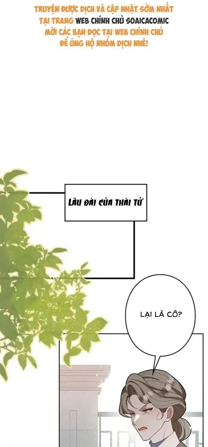 Mẹ Đơn Thân Và Nổi Ám Ảnh Của Thái Tử Chapter 19 - 2