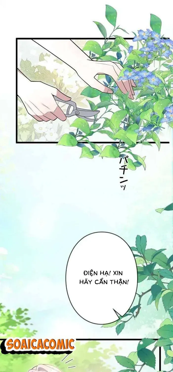 Mẹ Đơn Thân Và Nổi Ám Ảnh Của Thái Tử Chapter 35 - 14