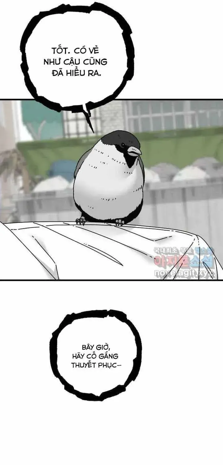 Đôi Mắt Chapter 56 - 23
