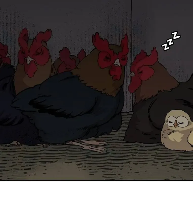 Mimosa (Cây Trinh Nữ) Chapter 3 - 24