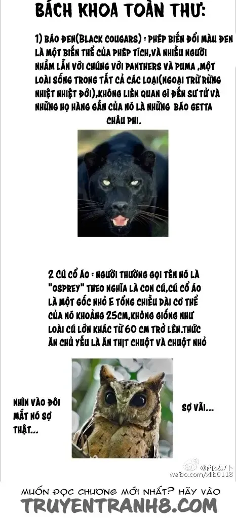 Động Vật Đầu Tiên Chapter 7 - 16